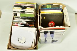 TWO TRAYS CONTAINING APPROX ONE HUNDRED AND FIFTY LPs AND 12in SINGLES of Dance, Trance, House, Hard