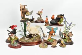 FOURTEEN FIGURES OF BIRDS BY BORDER FINE ARTS, ROYAL CROWN DERBY AND COUNTRY ARTISTS, including a