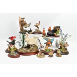 FOURTEEN FIGURES OF BIRDS BY BORDER FINE ARTS, ROYAL CROWN DERBY AND COUNTRY ARTISTS, including a