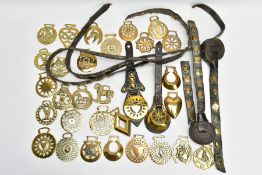 A BOX OF LATE 19TH / EARLY 20TH CENTURY HORSE BRASSES, twp mounted on leather straps, twenty nine