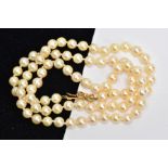 A CULTURED PEARL NECKLACE WITH A YELLOW METAL CLASP, a single row of cream pearls with a pink hue,