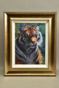 ROLF HARRIS (AUSTRALIA 1931) ' TIGER IN THE SUN', a signed limited edition print on canvas, 157/