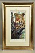 ROLF HARRIS (AUSTRALIA 1930) 'ALERT FOR PREY' a limited edition print of a Leopard 55/195, signed to