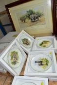 A GROUP OF DAVID SHEPHERD PRINTS AND PLATES, comprising a framed 'Kilaguni Babies' baby elephants,