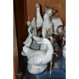 SIX NAO PORCELAIN ANIMAL AND BIRD FIGURES, four of ducks in a variety of poses, a rabbit and a