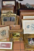 A QUANTITY OF PRINTS ETC, subjects include butterflies and moths, birds, Bechoff-David vintage