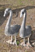 A PAIR OF GREY PAINTED METAL SWANS, height 65cm (Condition:- paint peeling off)