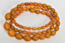 A BEADED AMBER NECKLACE, sixty seven graduated oval beads, secured onto a string fitted with a screw