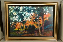 ROLF HARRIS (AUSTRALIA 1930) 'BUSH SUNSET', a signed limited edition print of a landscape, 12/195