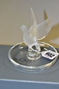 A BOXED LALIQUE DOVE PIN DISH, in the form of an opaque glass dove with outstretched wings above a