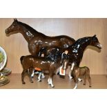 TWO BESWICK BROWN GLOSS HORSES AND A FOAL, TOGETHER WITH ANOTHER UNMARKED BROWN GLOSS HORSE, the