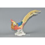 A RUDOLSTADT VOLKSTEDT KARL ENS FIGURE OF A GOLDEN PHEASANT, no 5887, printed and impressed marks,
