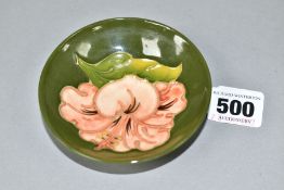 A MOORCROFT POTTERY CIRCULAR PIN DISH DECORATED WITH CORAL HIBISCUS ON A GREEN GROUND, faint