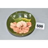 A MOORCROFT POTTERY CIRCULAR PIN DISH DECORATED WITH CORAL HIBISCUS ON A GREEN GROUND, faint