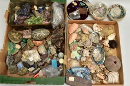 AN ASSORTED LOT OF COLLECTABLE GEMSTONE, FOSSILS AND SHELL SPECIMENS, to include amethyst