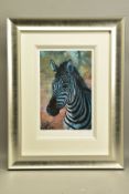 ROLF HARRIS (AUSTRALIA 1930) 'YOUNG ZEBRA', a signed limited edition print 39/195, with certificate,