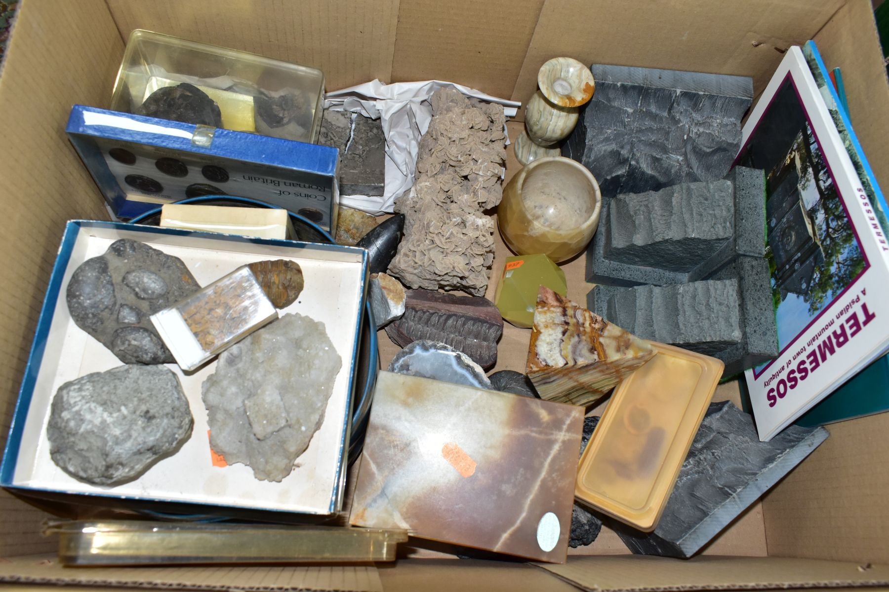 TWO BOXES OF FOSSILS, ROCKS, MINERALS AND RELATED BOOKS, approximately to include over thirty - Image 4 of 7