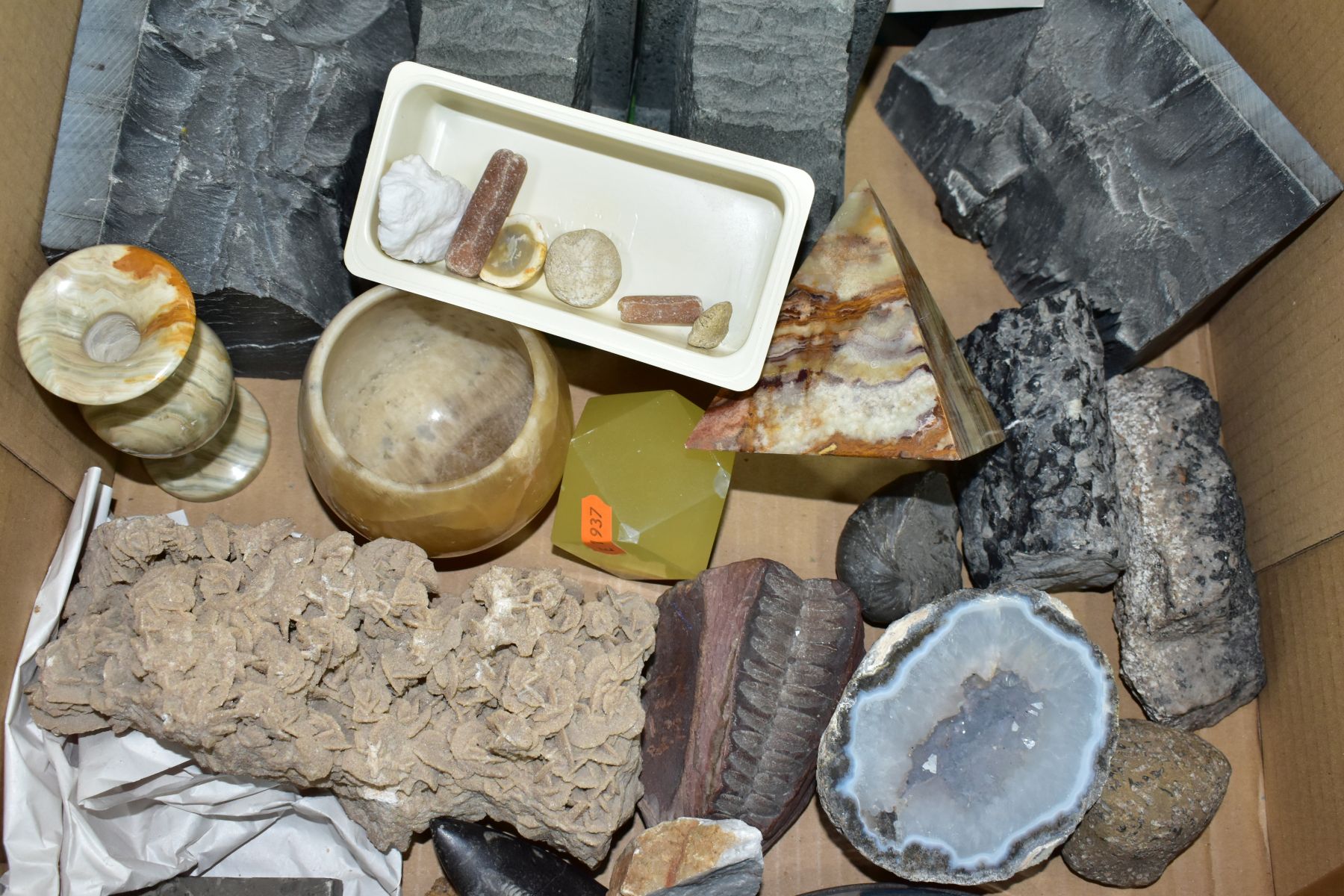 TWO BOXES OF FOSSILS, ROCKS, MINERALS AND RELATED BOOKS, approximately to include over thirty - Image 6 of 7