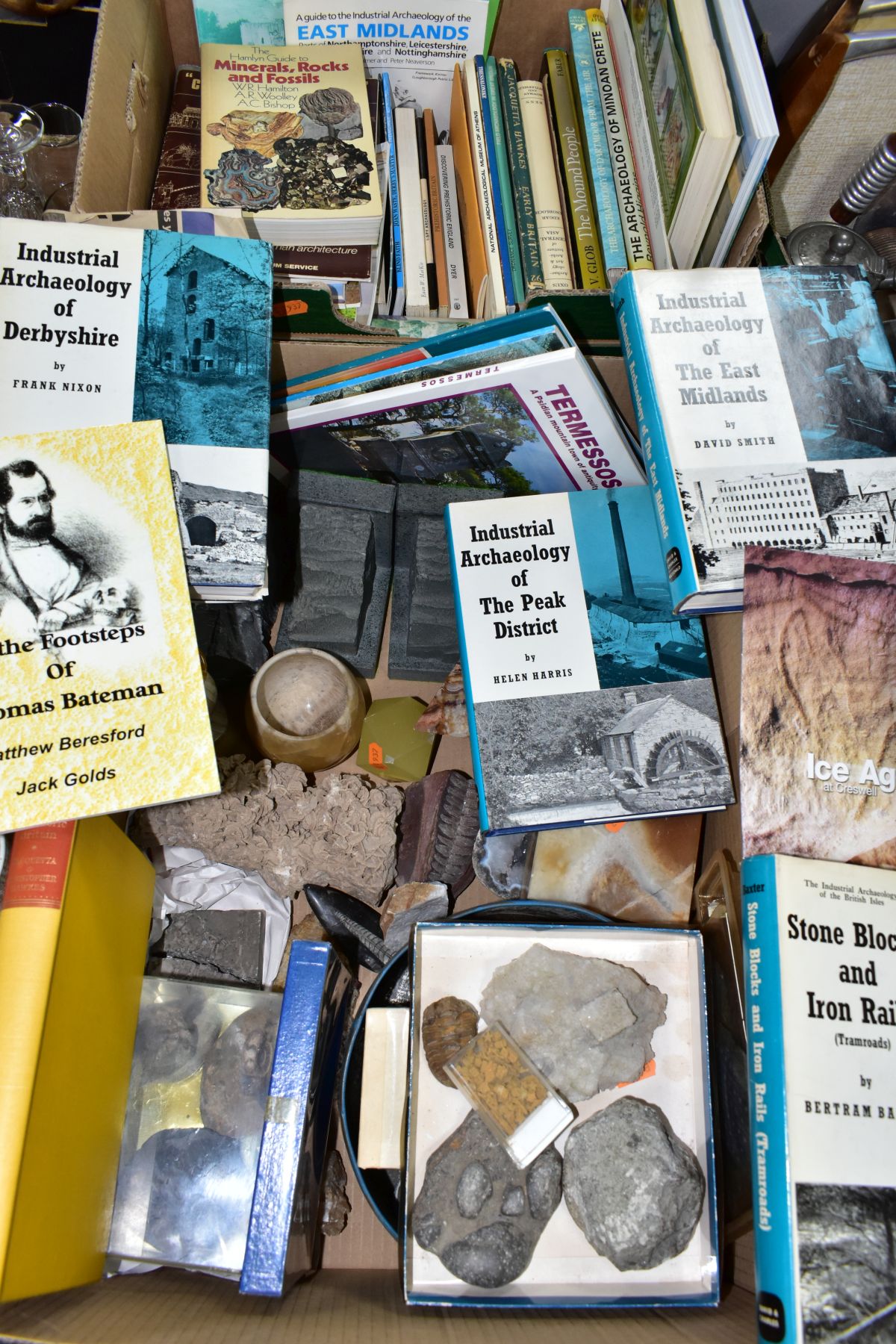 TWO BOXES OF FOSSILS, ROCKS, MINERALS AND RELATED BOOKS, approximately to include over thirty