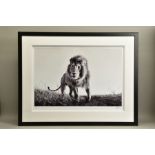 ANUP SHAH (KENYA CONTEMPORARY) 'HUNTER', a signed limited edition print of a lion, 5/150 with