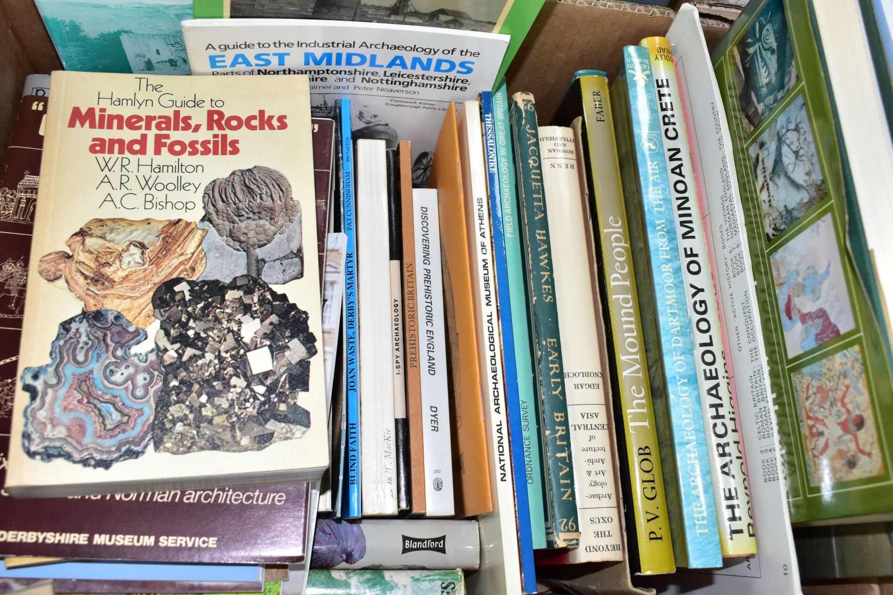 TWO BOXES OF FOSSILS, ROCKS, MINERALS AND RELATED BOOKS, approximately to include over thirty - Image 2 of 7