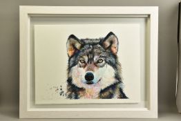 SARAH STOKES (BRITISH CONTEMPORARY), 'GOLDEN EYES' a portrait of a wolf, signed bottom left,