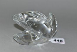 A BACCARAT CLEAR GLASS MODEL OF A SWAN PREENING, etched mark to the base, height 7cm x length