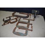 SEVEN VARIOUS G-CLAMPS comprising a large Record 12inch, three Paramo No6, two Woden No126/4 and a
