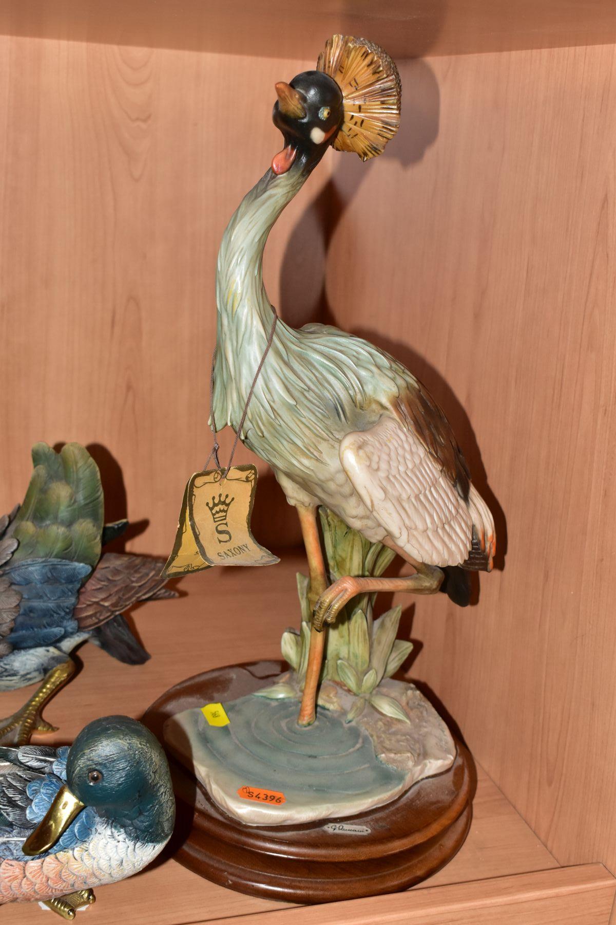 A GROUP OF RESIN BIRD AND ANIMAL FIGURES, most having wooden bases to include a Breed Apart - Bild 2 aus 5