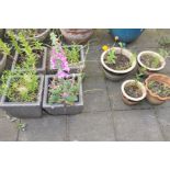 TWO PAIRS OF RATTAN EFFECT SQUARE TAPERED PLANT POTS, along with three small glazed plant pots,