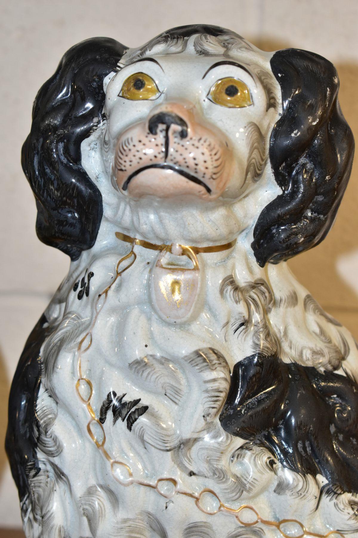 A PAIR OF VICTORIAN STAFFORDSHIRE POTTERY CURLY COATED BLACK AND WHITE SEATED SPANIELS, one - Bild 3 aus 6