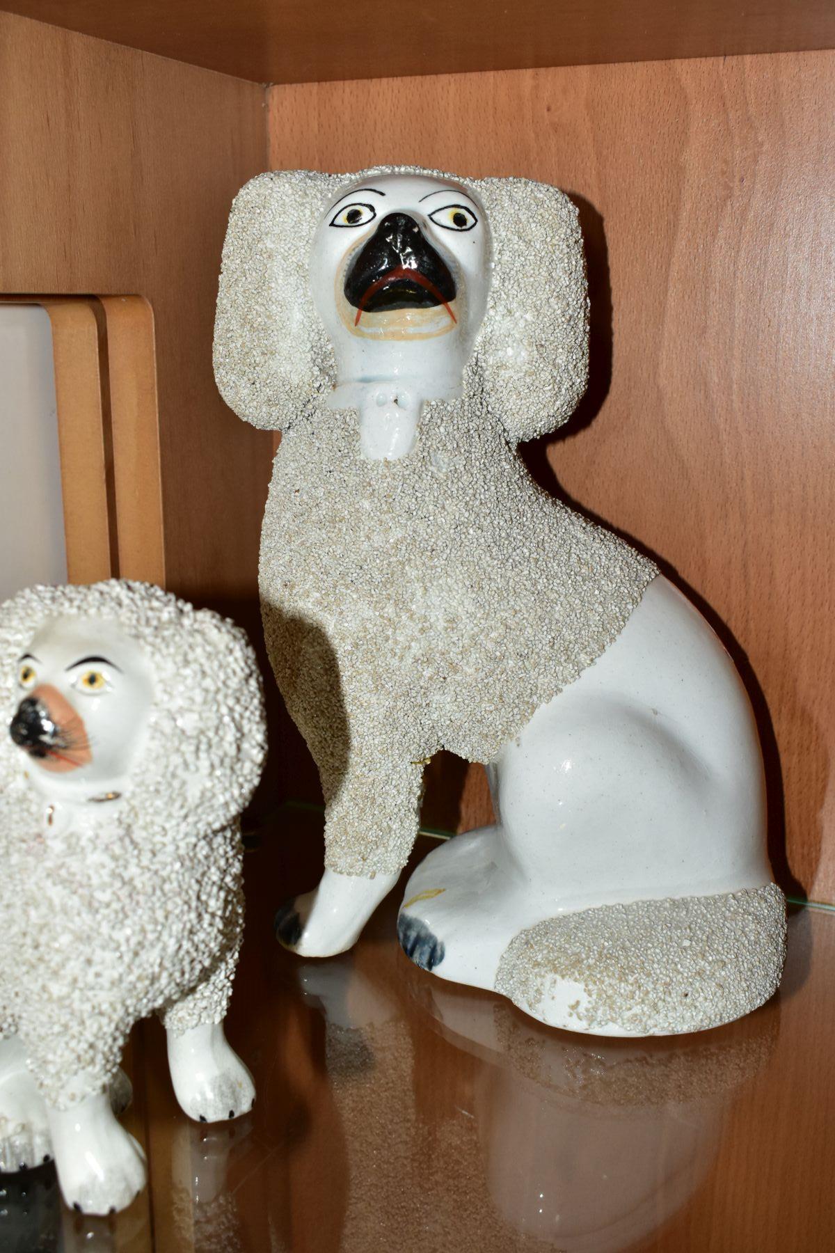 SIX VICTORIAN STAFFORDSHIRE WHITE GLAZED AND FRIT DECORATED POODLE FIGURES AND A SIMILAR SMALL - Bild 6 aus 6