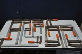 THIRTEEN SANDVIK F CLAMPS in various sizes (some rust)