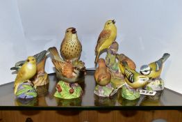 EIGHT ROYAL WORCESTER BIRD FIGURES AND GROUP, comprising 'Sparrow' 3236, 'Thrush' 3234 (chipped