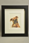 HAYLEY GOODHEAD (BRITISH CONTEMPORARY) 'BOXER STUDY SKETCH', a pencil drawing of a boxer puppy,