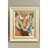 TONY FORREST (BRITISH 1961) 'WILD THING' A signed limited edition print of a tiger, 48/195 with