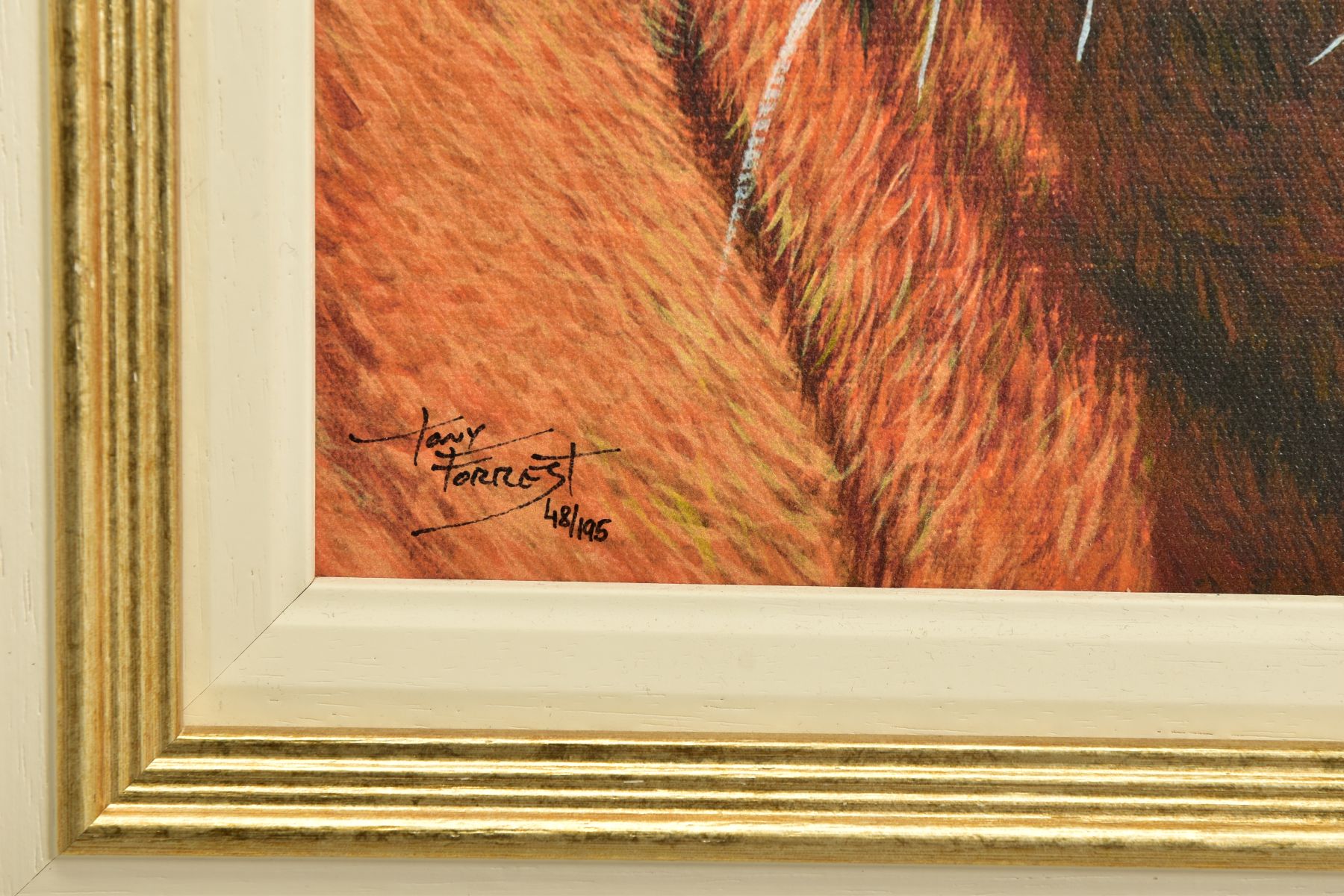 TONY FORREST (BRITISH 1961) 'WILD THING' A signed limited edition print of a tiger, 48/195 with - Image 4 of 6