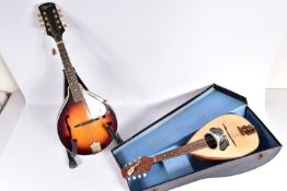 A TRADITIONAL BOWL BACK MANDOLIN with butterfly motif by sound hole in case, aTGI guitar stand and a