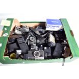 A TRAY CONTAINING OLYMPUS CAMERAS including two OM10 with 50mm lens and 55mm lens, a PEN, a PEN D,