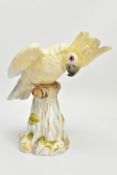 A 20TH CENTURY MEISSEN COCKATOO AFTER J.J. KANDLER, modelled as perched on a mossy covered stump