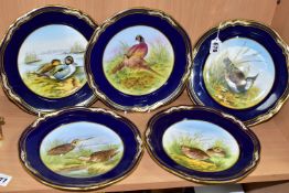 A SET OF FIVE SPODE 'GAME BIRDS' CABINET PLATES, blue and gilt borders surrounding 'Lapwing', '