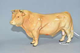 A BESWICK CHAROLAIS BULL, no 2463A, gloss, stamped marks to foot (1) (Condition report: appears in