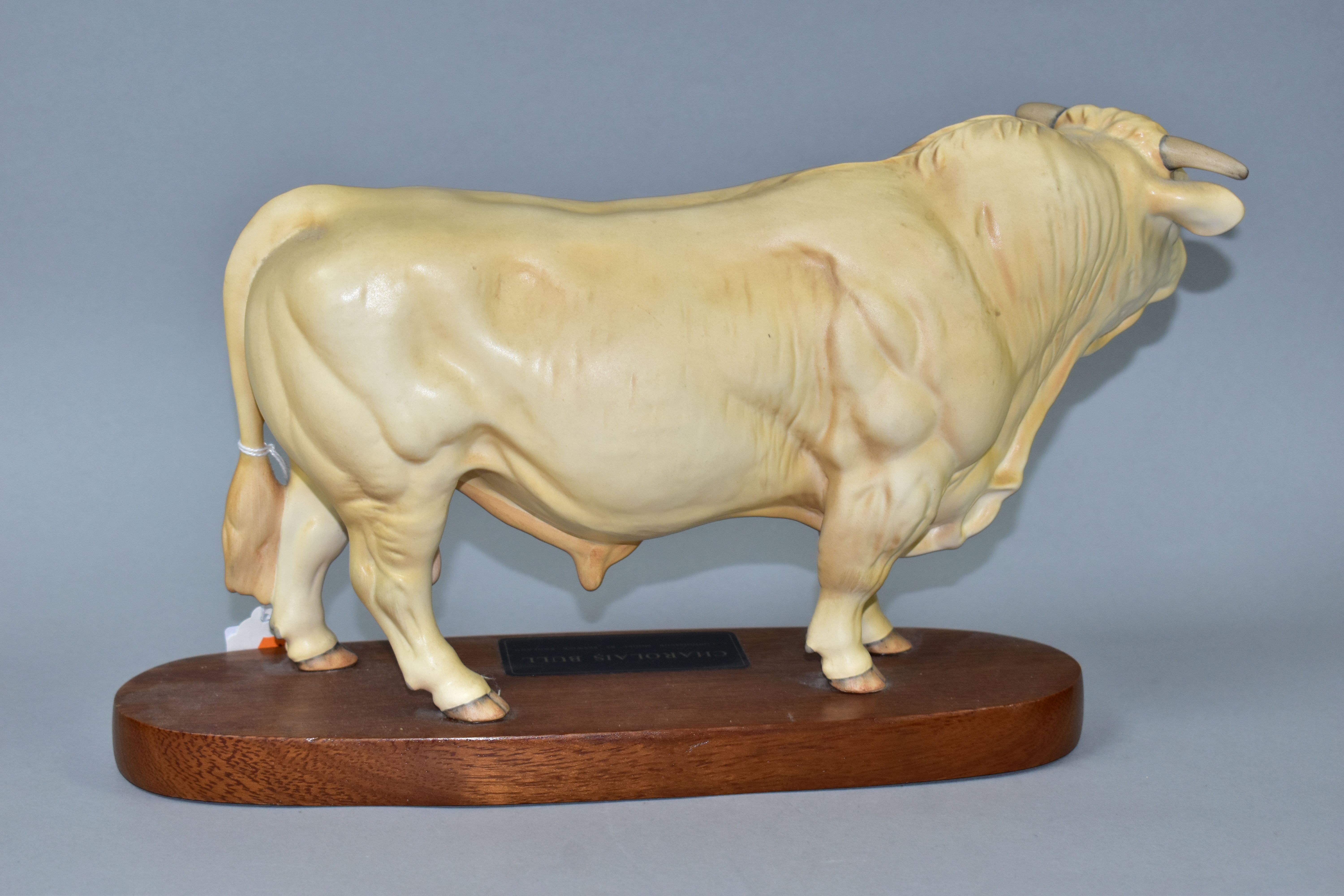 A BESWICK CHAROLAIS BULL FIGURE, no A2463A, on a wooden plinth labelled 'Charolais Bull, A - Image 3 of 3