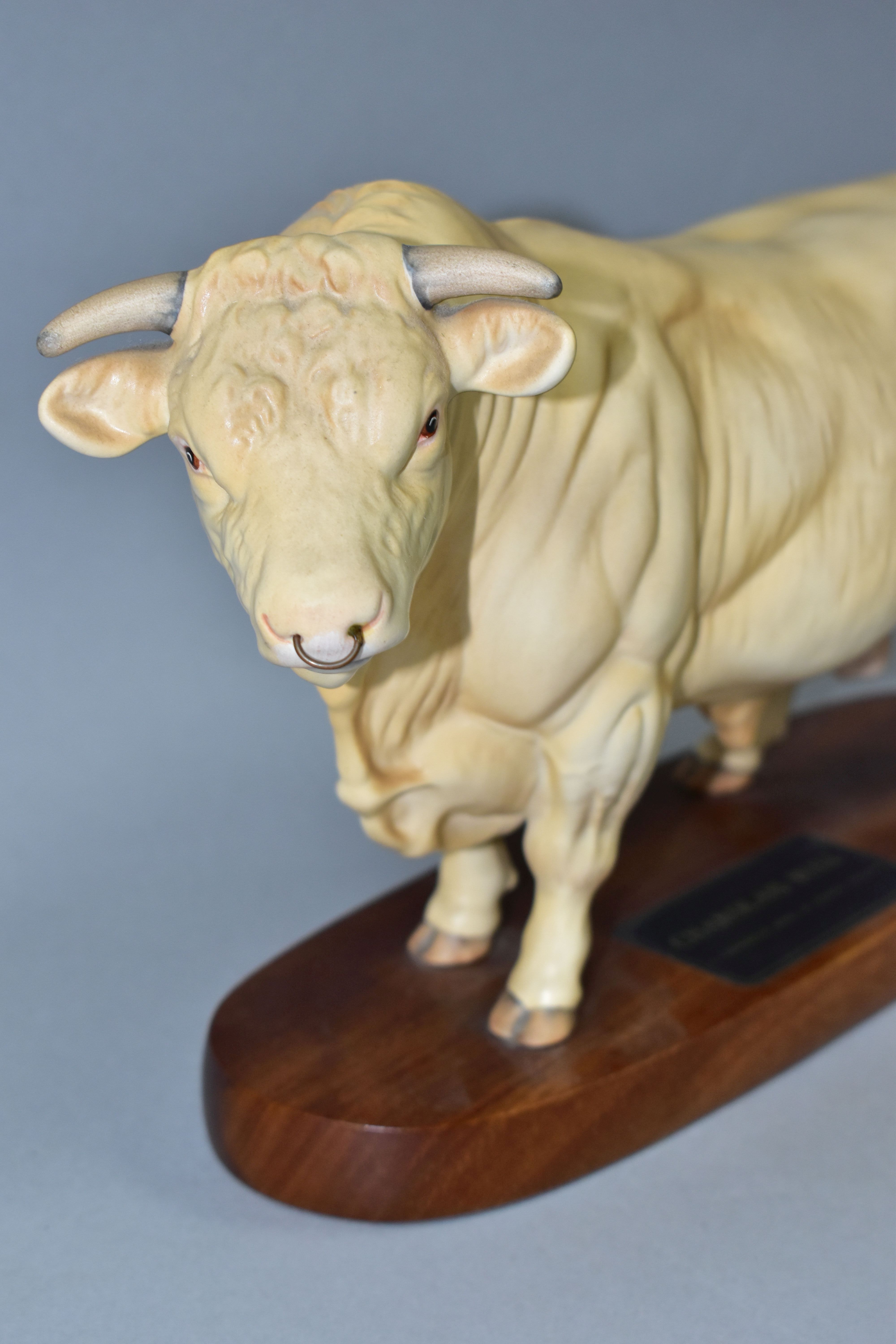 A BESWICK CHAROLAIS BULL FIGURE, no A2463A, on a wooden plinth labelled 'Charolais Bull, A - Image 2 of 3