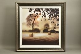 JOHN WATERHOUSE (BRITISH 1967) 'THE WAY AHEAD', a signed limited edition print of a misty field, 6/