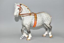 A BESWICK PERCHERON, model number 2464, in show harness, dapple grey matt finish, height 24.5cm (