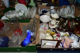 FIVE BOXES AND LOOSE ASSORTED CERAMICS ANND GLASS ETC, to include Bradex WWF animal collectors