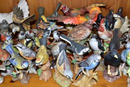 A COLLECTION OF OVER FIFTY BISQUE BIRD FIGURES, depicting British and exotic birds, including