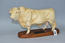 A BESWICK CHAROLAIS BULL FIGURE, no A2463A, on a wooden plinth labelled 'Charolais Bull, A