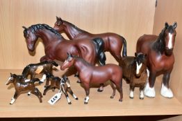 A GROUP OF EIGHT BESWICK HORSES AND FOALS, in brown matt and gloss glazes, comprising a Shire Mare